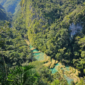 guatemala 2025